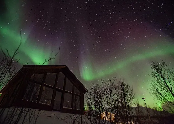 Aurora View Cabin