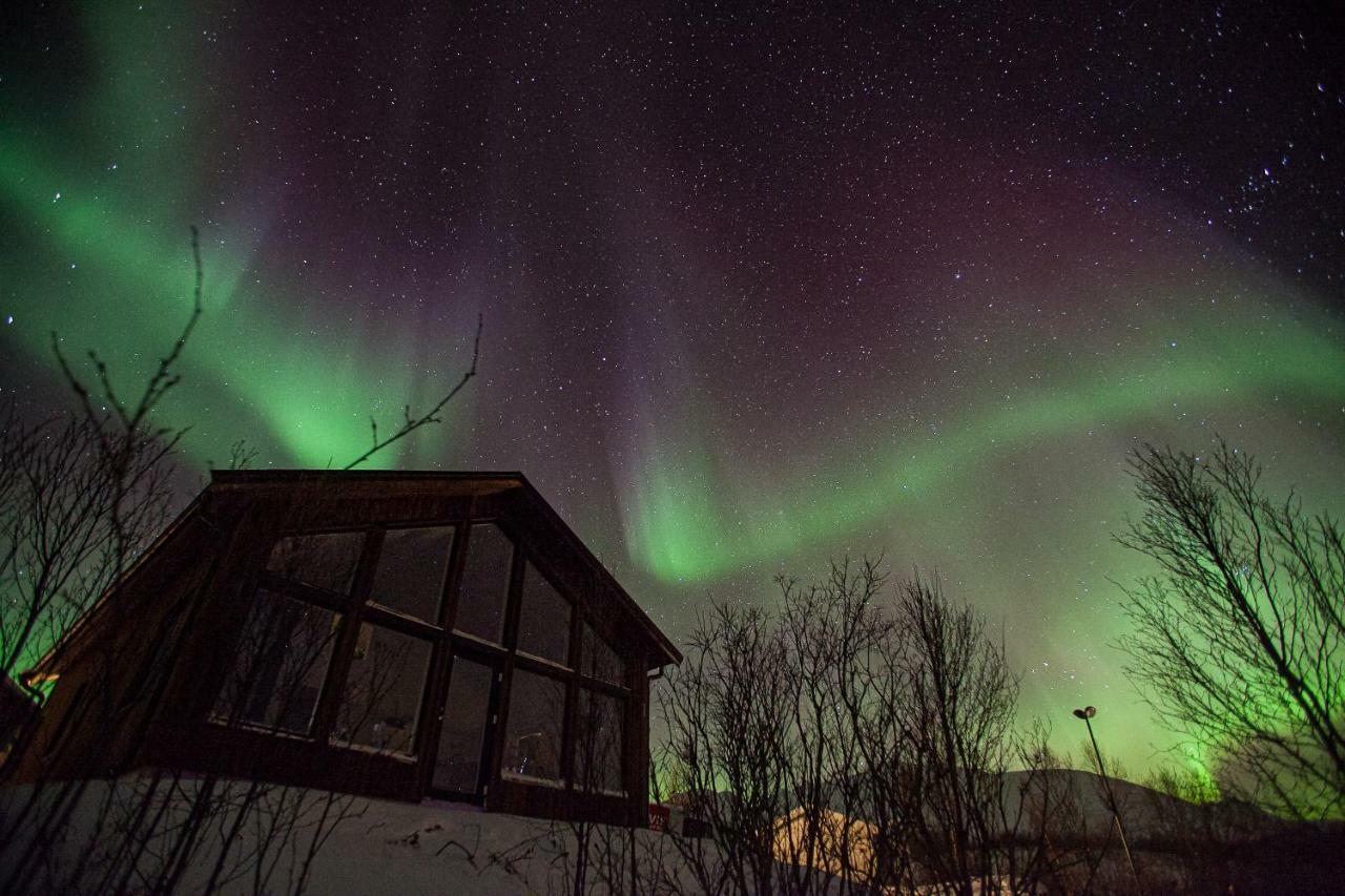 Aurora View Lyngseidet